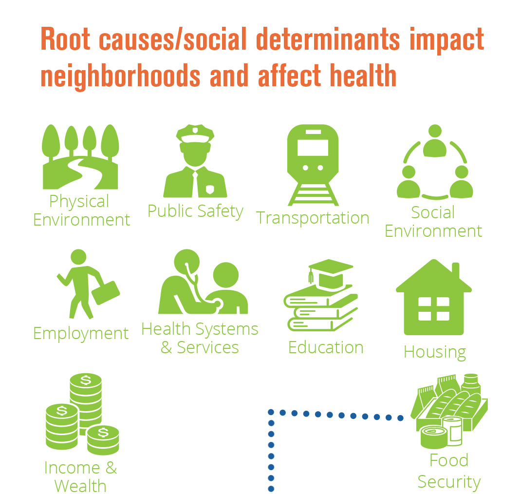 Root Causes Graphic