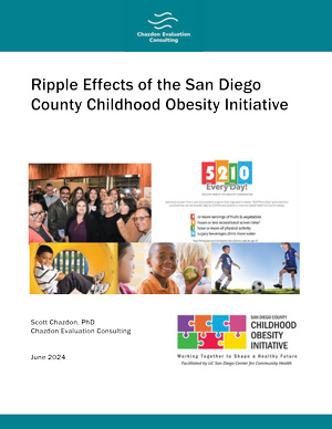 COI REM Report Cover